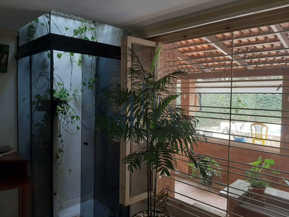 Imagem Casa com 3 Quartos à Venda, 437 m² em Setor Sul - Goiânia Imagem Casa com 3 Quartos à Venda, 437 m² em Setor Sul - Goiânia