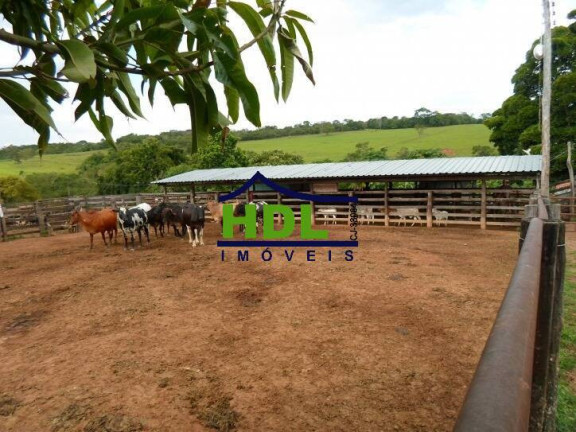 Imagem Fazenda à Venda, em Rural - Piracanjuba Imagem Fazenda à Venda, em Rural - Piracanjuba