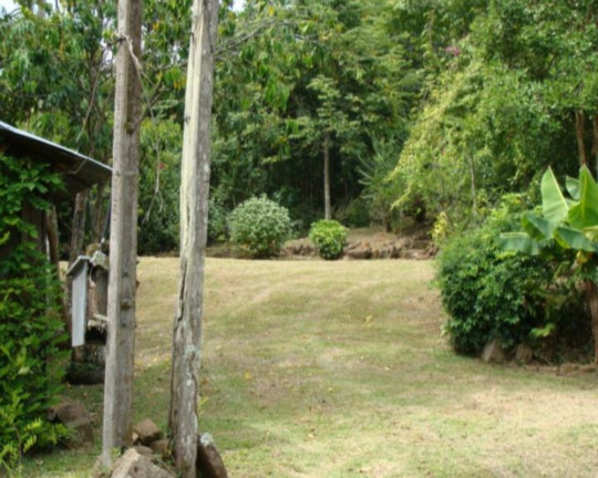 Imovel