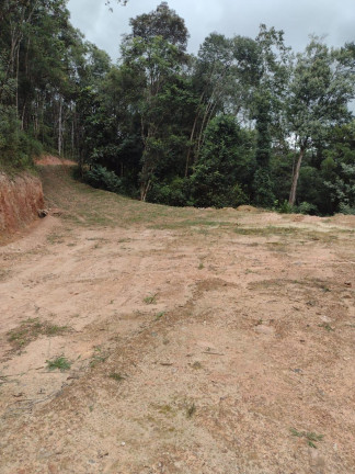 Imagem Imóvel à Venda, 33.000 m² em Itaqui De Cima - Campo Largo Imagem Imóvel à Venda, 33.000 m² em Itaqui De Cima - Campo Largo