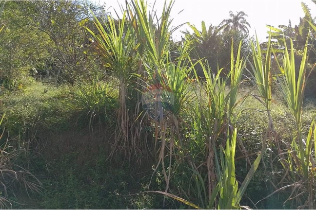 Imagem Terreno à Venda, 2.729 m² em Guaratiba - Rio De Janeiro Imagem Terreno à Venda, 2.729 m² em Guaratiba - Rio De Janeiro
