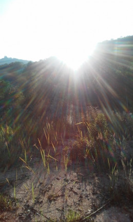 Imagem Terreno à Venda, 34 m² em Terra Preta - Mairiporã Imagem Terreno à Venda, 34 m² em Terra Preta - Mairiporã