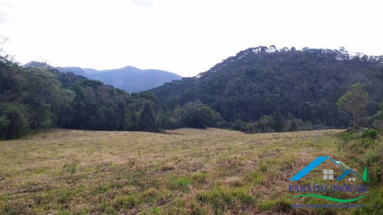 Imagem Terreno à Venda, 38 m² em Centro - Gonçalves