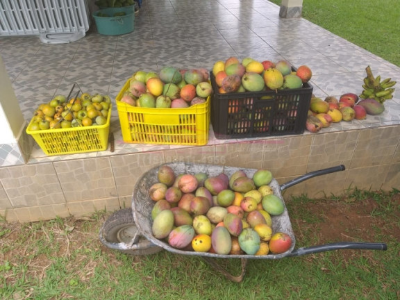 Imagem Chácara com 3 Quartos à Venda, 300 m² em Zona Rural - Boituva