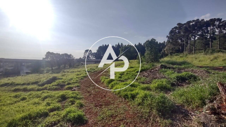 Imagem Terreno à Venda, 3.080 m² em Cará-cará - Ponta Grossa Imagem Terreno à Venda, 3.080 m² em Cará-cará - Ponta Grossa