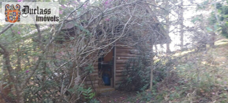 Imagem Chácara com 1 Quarto à Venda, 180 m² em Rural - Gonçalves Imagem Chácara com 1 Quarto à Venda, 180 m² em Rural - Gonçalves