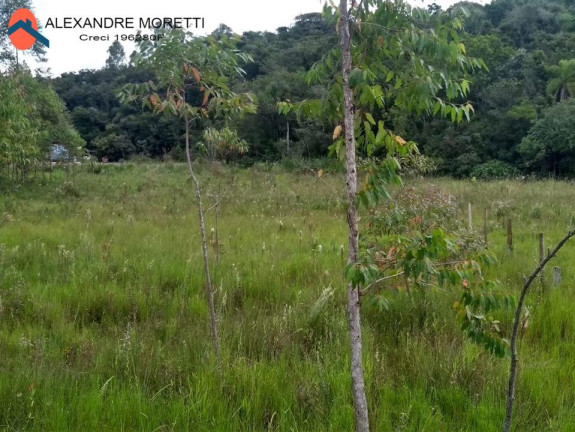 Imagem Chácara à Venda, 85.000 m² em Sorocaba