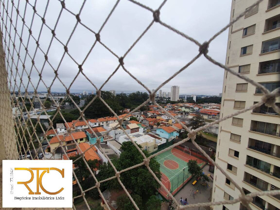 Imagem Apartamento com 3 Quartos à Venda, 70 m² em Vila Isa - São Paulo Imagem Apartamento com 3 Quartos à Venda, 70 m² em Vila Isa - São Paulo