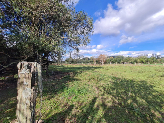 Imagem Chácara com 3 Quartos à Venda, 4.840 m² em Centro - Passo Do Sobrado Imagem Chácara com 3 Quartos à Venda, 4.840 m² em Centro - Passo Do Sobrado