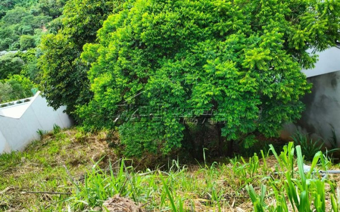 Imagem Imóvel à Venda, 450 m² em Arujá - Arujá