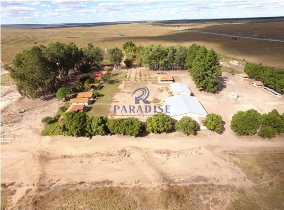 Imagem Fazenda à Venda, 17.799.000 m² em Zona Rural - Baianópolis Imagem Fazenda à Venda, 17.799.000 m² em Zona Rural - Baianópolis