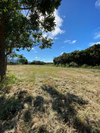 Imagem Terreno à Venda, 19.946 m² em Centro - Terra De Areia Imagem Terreno à Venda, 19.946 m² em Centro - Terra De Areia