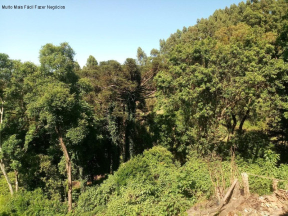 Imagem Terreno à Venda, 3.500 m² em Piá - Nova Petrópolis Imagem Terreno à Venda, 3.500 m² em Piá - Nova Petrópolis