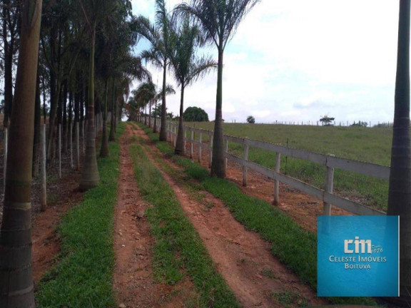 Imagem Chácara com 3 Quartos à Venda, 1 m² em An - Boituva Imagem Chácara com 3 Quartos à Venda, 1 m² em An - Boituva
