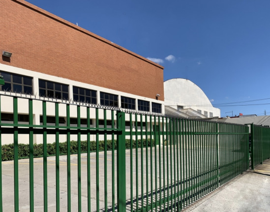 Imagem Galpão para Alugar, 1.233 m² em Vila Palmeiras - São Paulo