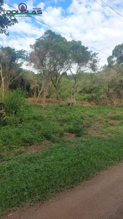 Imagem Terreno à Venda, 2.000 m² em águas Claras - Viamão Imagem Terreno à Venda, 2.000 m² em águas Claras - Viamão
