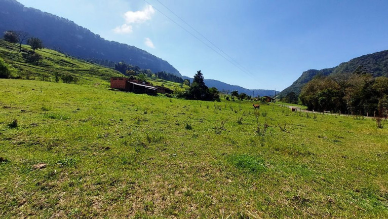 Imagem Imóvel com 3 Quartos à Venda, 100.000 m² em Zona Rural - Agrolândia