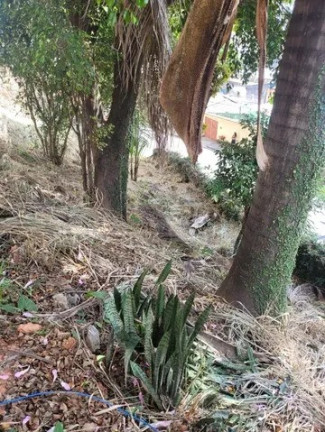 Imagem Terreno à Venda, 603 m² em R$500.000,00 // Dom Bosco - Belo Horizonte Imagem Terreno à Venda, 603 m² em R$500.000,00 // Dom Bosco - Belo Horizonte