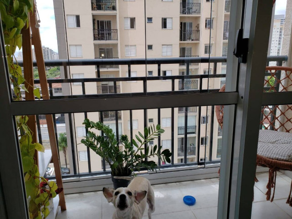 Imagem Apartamento com 2 Quartos à Venda, 50 m² em Mooca - São Paulo
