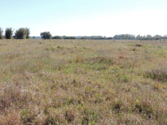 Imagem Terreno à Venda, 1.000 m² em Morro Grande - Viamão