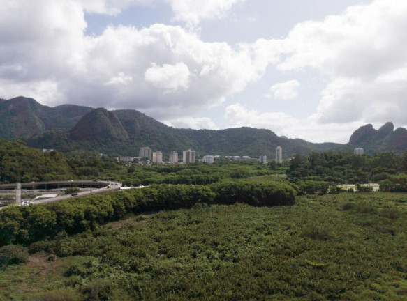 Imagem Imóvel com 3 Quartos à Venda, 95 m² em Barra Da Tijuca - Rio De Janeiro