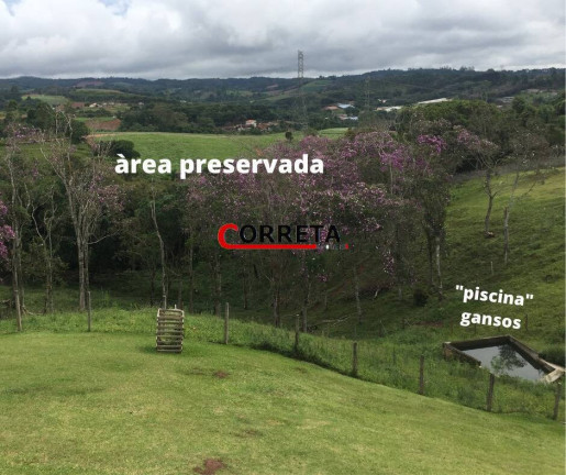 Imagem Casa com 6 Quartos à Venda, 18.452 m² em Carmo Messias - Ibiúna Imagem Casa com 6 Quartos à Venda, 18.452 m² em Carmo Messias - Ibiúna