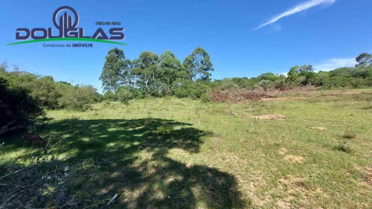 Imagem Chácara à Venda, em Viamão Imagem Chácara à Venda, em Viamão