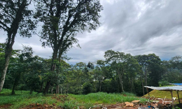 Imagem Terreno à Venda, 2.525 m² em Residencial Aldeia Do Vale - Goiânia Imagem Terreno à Venda, 2.525 m² em Residencial Aldeia Do Vale - Goiânia