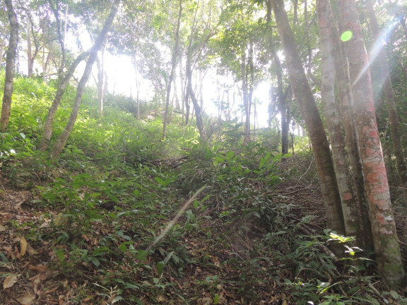 Imagem Terreno à Venda, 20.000 m² em Macacu - Garopaba Imagem Terreno à Venda, 20.000 m² em Macacu - Garopaba