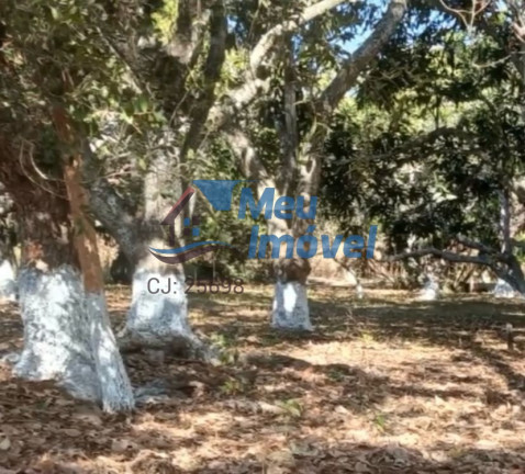 Imagem Imóvel com 4 Quartos à Venda, 4 m² em área Rural De Luziânia - Luziânia Imagem Imóvel com 4 Quartos à Venda, 4 m² em área Rural De Luziânia - Luziânia