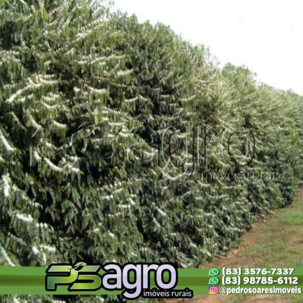 Imagem Fazenda à Venda, 2.755 m² em Marta Helena - Uberlândia Imagem Fazenda à Venda, 2.755 m² em Marta Helena - Uberlândia