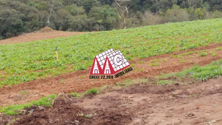 Imagem Imóvel com 3 Quartos à Venda, 968.000 m² em Pilar Do Sul - Pilar Do Sul