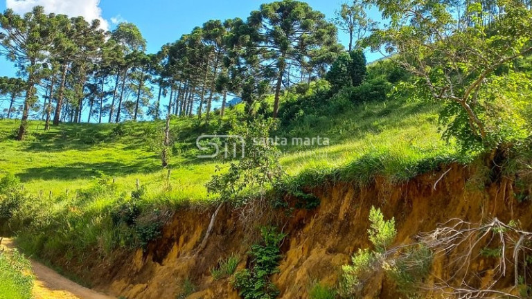 Imagem Imóvel à Venda, 1.000 m² em Marins - Piquete Imagem Imóvel à Venda, 1.000 m² em Marins - Piquete
