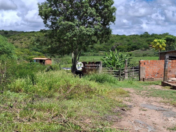 Imagem Fazenda à Venda,  em Gararu