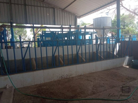 Imagem Chácara com 4 Quartos à Venda, 90 m² em área Rural - Esmeraldas Imagem Chácara com 4 Quartos à Venda, 90 m² em área Rural - Esmeraldas