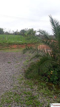 Imagem Imóvel com 2 Quartos à Venda, 95 m² em Zona Rural - Sentinela Do Sul Imagem Imóvel com 2 Quartos à Venda, 95 m² em Zona Rural - Sentinela Do Sul