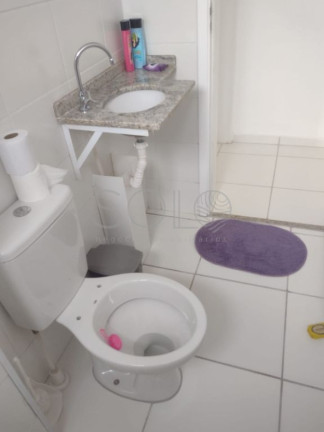 Imagem Apartamento com 2 Quartos para Alugar, 56 m² em Jardim Bandeirantes - Araraquara Imagem Apartamento com 2 Quartos para Alugar, 56 m² em Jardim Bandeirantes - Araraquara