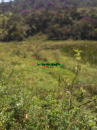 Imagem Chácara à Venda, 24.200 m² em São Francisco Xavier - São José Dos Campos Imagem Chácara à Venda, 24.200 m² em São Francisco Xavier - São José Dos Campos