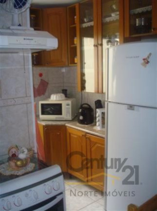 Imagem Apartamento com 3 Quartos à Venda,  em Vila Amélia - São Paulo