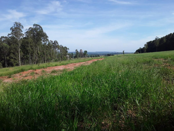 Imagem Chácara à Venda, 15 m² em Area Rural De Avaré - Avaré Imagem Chácara à Venda, 15 m² em Area Rural De Avaré - Avaré