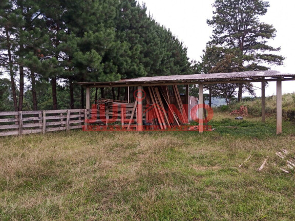 Imagem Chácara à Venda, 24.000 m² em Campo Alegre Imagem Chácara à Venda, 24.000 m² em Campo Alegre