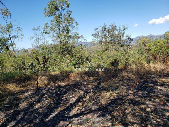 Imagem Terreno à Venda, 60.000 m² em Novo Igarapé - Igarapé