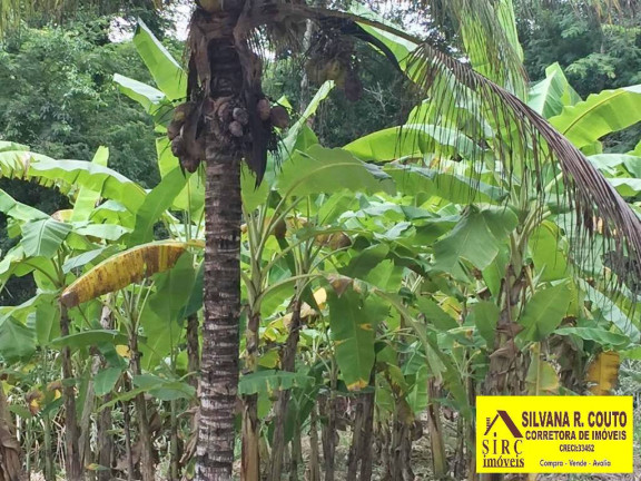 Imagem Chácara com 4 Quartos à Venda, 45 m² em Picos - Itaboraí