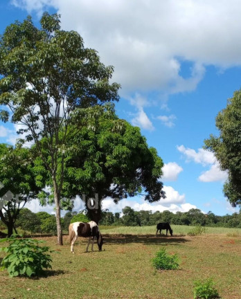 Imagem Fazenda à Venda ou Locação, 90 m² em área Rural De Lençóis Paulista - Lençóis Paulista Imagem Fazenda à Venda ou Locação, 90 m² em área Rural De Lençóis Paulista - Lençóis Paulista