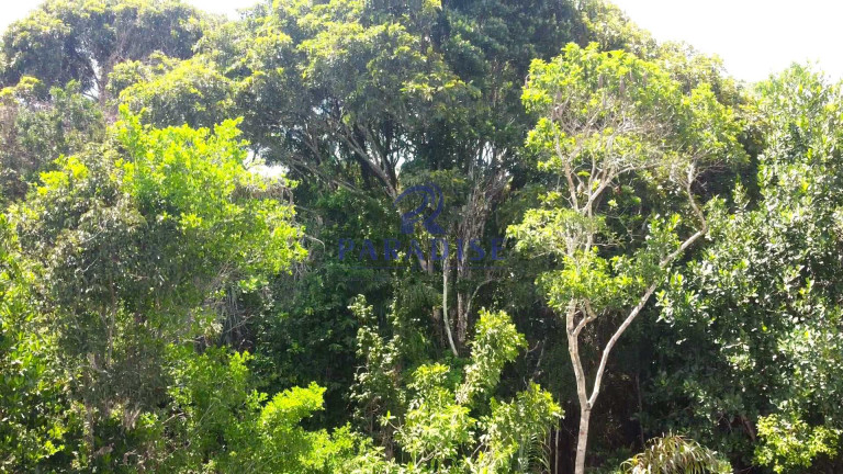 Imagem Terreno à Venda, 2.160 m² em Açu Da Torre - Mata De São João Imagem Terreno à Venda, 2.160 m² em Açu Da Torre - Mata De São João