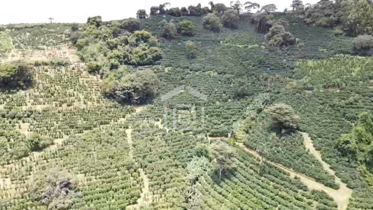 Imagem Imóvel à Venda, 1 m² em Souza Lima - Poços De Caldas