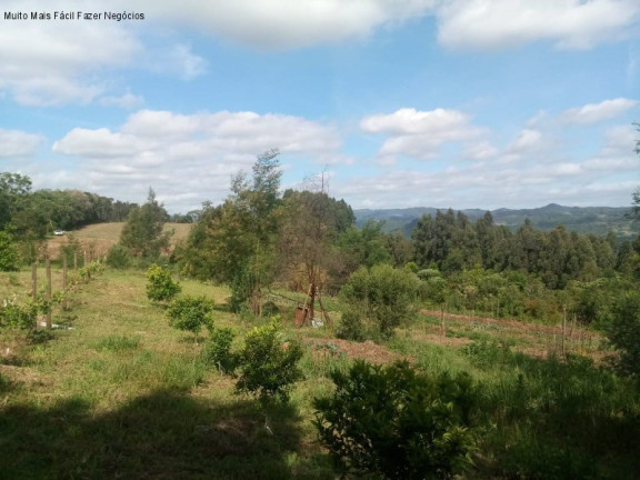 Imagem Terreno à Venda, 4 m² em Pinhal Alto - Nova Petrópolis
