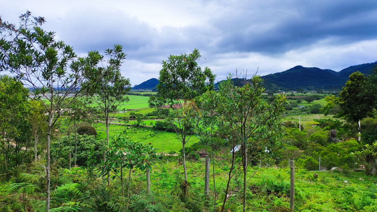 Imagem Terreno à Venda, em Ressacada - Garopaba Imagem Terreno à Venda, em Ressacada - Garopaba