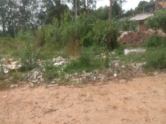 Imagem Terreno à Venda, 55.000 m² em Colônia (zona Leste) - São Paulo Imagem Terreno à Venda, 55.000 m² em Colônia (zona Leste) - São Paulo