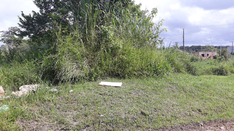 Terreno à Venda, 360 m² em Cidade Nova Peruíbe - Peruíbe
